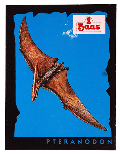 PEZ - Stickers - Dinosaurs (Haas) - Pteranodon